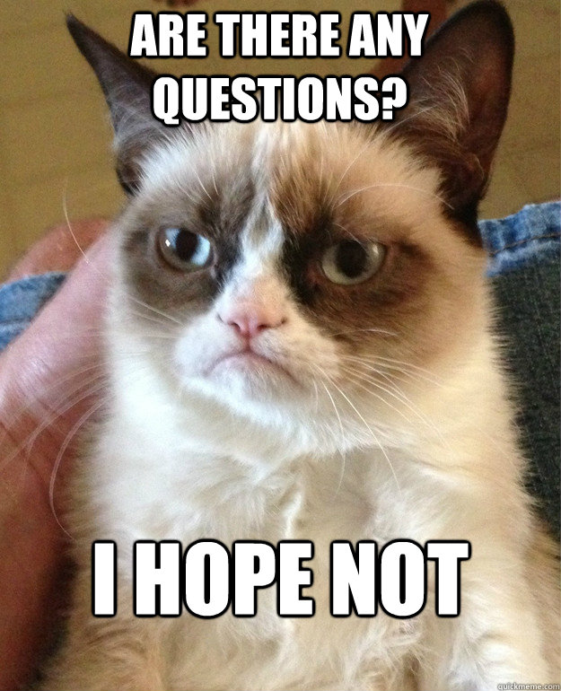 Are there any questions? I hope not  Grumpy Cat