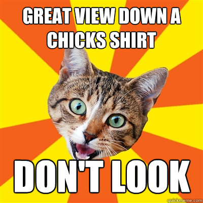 great view down a chicks shirt don't look  Bad Advice Cat