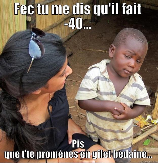 FEC TU ME DIS QU'IL FAIT -40... PIS QUE T'TE PROMÈNES EN GILET BEDAINE... Skeptical Third World Kid