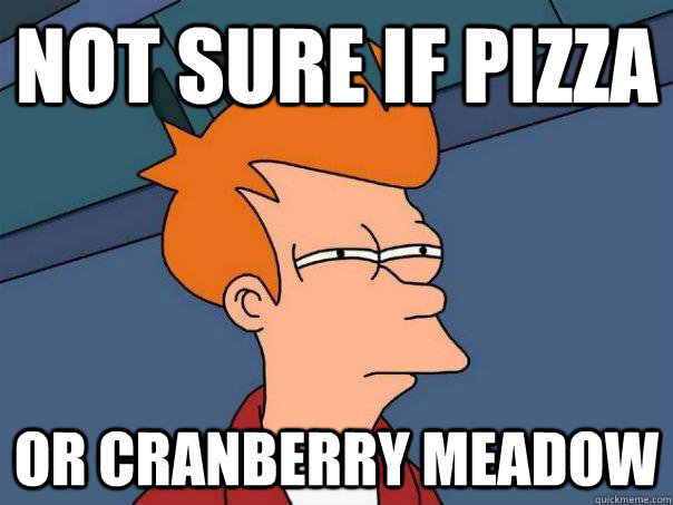 Not sure if pizza or cranberry meadow  Futurama Fry