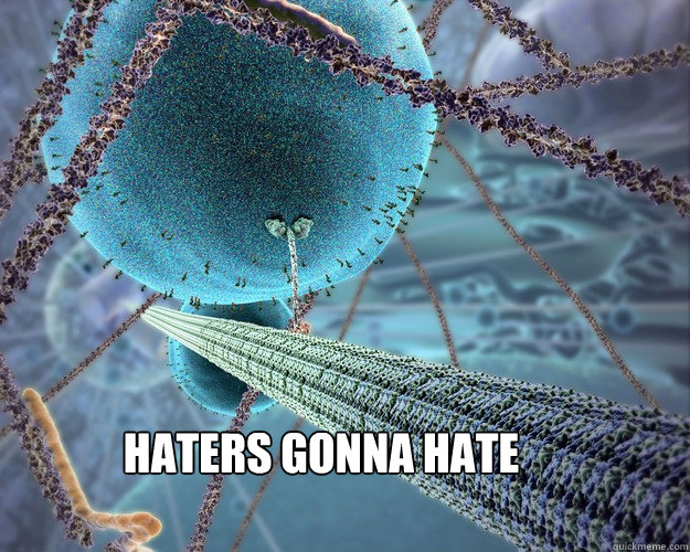 HATERS GONNA HATE - HATERS GONNA HATE  Haters gonna hate