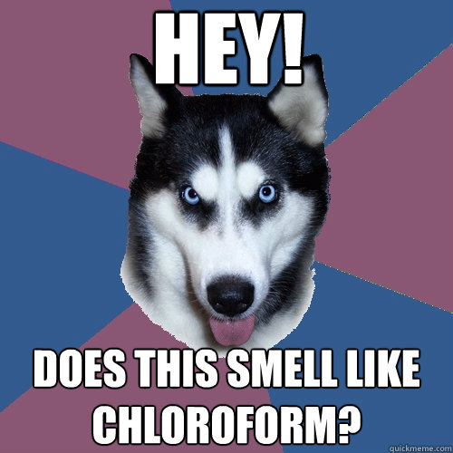 HEY! Does this smell like chloroform? - HEY! Does this smell like chloroform?  Creeper Canine