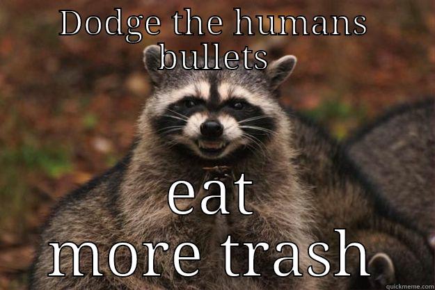 DODGE THE HUMANS BULLETS EAT MORE TRASH Evil Plotting Raccoon