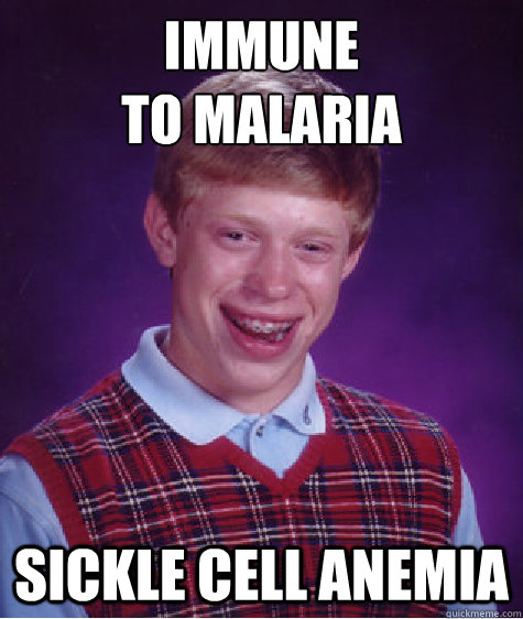 Immune 
to MAlaria Sickle Cell Anemia  Bad Luck Brian