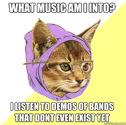 What music am i into? I listen to demos of bands that dont even exist yet  Hipster Kitty