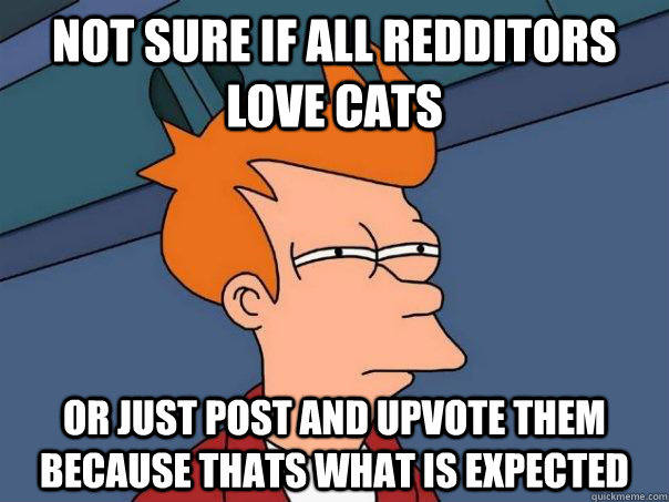 Not sure if all Redditors love cats or just post and upvote them because thats what is expected  Futurama Fry