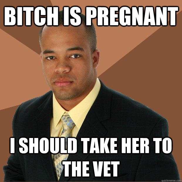 bitch is pregnant i should take her to the vet  Successful Black Man