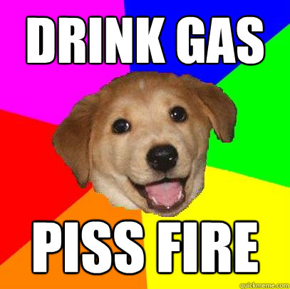 drink gas piss fire  Advice Dog