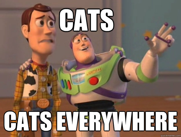 CATS CATS EVERYWHERE  Buzz Lightyear