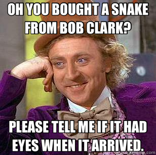 OH YOU BOUGHT A SNAKE FROM BOB CLARK? PLEASE TELL ME IF IT HAD EYES WHEN IT ARRIVED.  Condescending Wonka