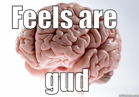 FEELS ARE  GUD Scumbag Brain