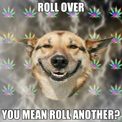 ROLL OVER YOU MEAN ROLL ANOTHER?  Stoner Dog