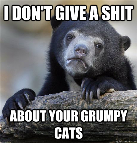 I don't give a shit about your grumpy cats  Confession Bear