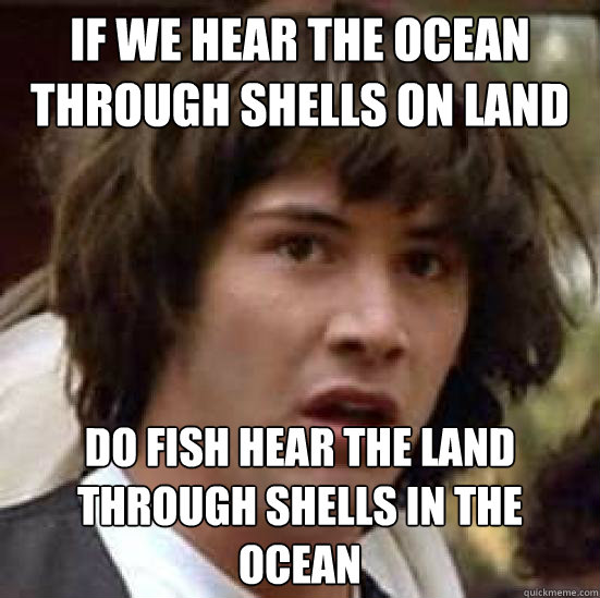 If we hear the ocean through shells on land do fish hear the land through shells in the ocean   conspiracy keanu