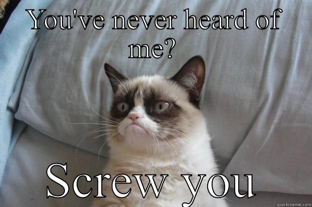 YOU'VE NEVER HEARD OF ME? SCREW YOU Grumpy Cat