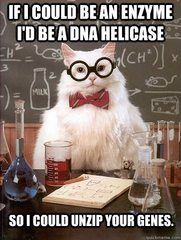 If I could be an enzyme I'd be a DNA Helicase so I could unzip your genes.  - If I could be an enzyme I'd be a DNA Helicase so I could unzip your genes.   Chemistry Cat