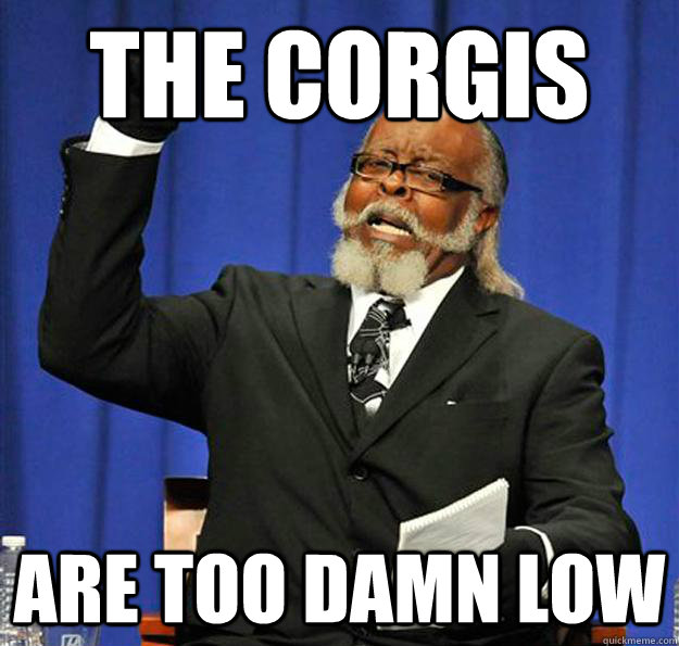 The corgis are too damn low - The corgis are too damn low  Jimmy McMillan