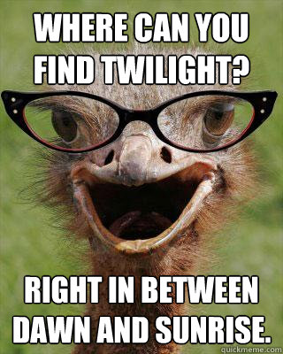 Where can you find Twilight? Right in between dawn and sunrise.  Judgmental Bookseller Ostrich