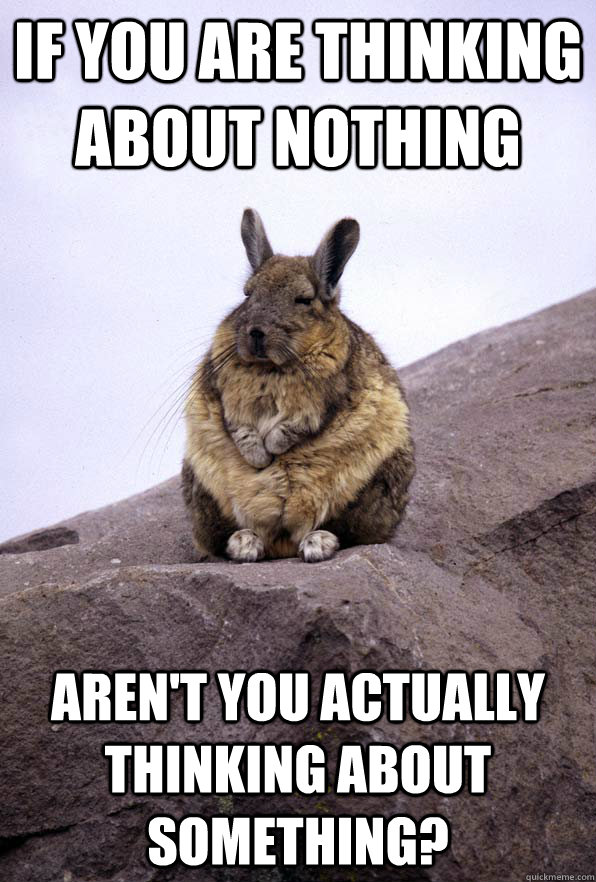 if you are thinking about nothing aren't you actually thinking about something? - if you are thinking about nothing aren't you actually thinking about something?  Wise Wondering Viscacha