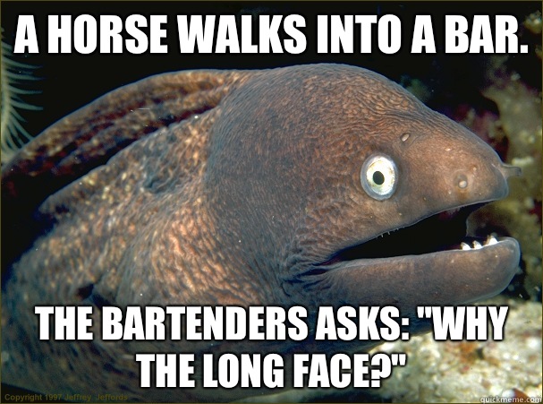 A horse walks into a bar. The bartenders asks: 