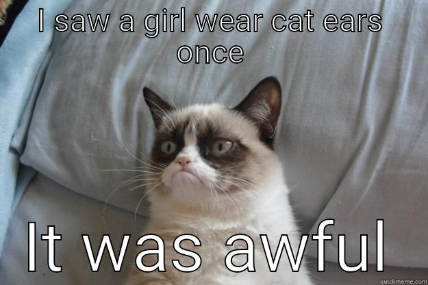 I SAW A GIRL WEAR CAT EARS ONCE IT WAS AWFUL Grumpy Cat