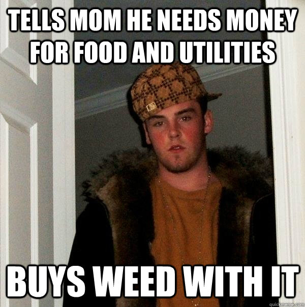 tells mom he needs money for food and utilities buys weed with it  Scumbag Steve