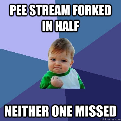 Pee stream forked in half neither one missed  Success Kid