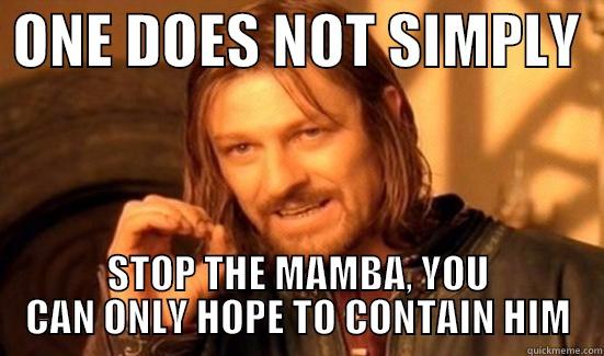  ONE DOES NOT SIMPLY   STOP THE MAMBA, YOU CAN ONLY HOPE TO CONTAIN HIM Boromir