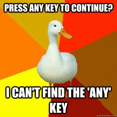 Press any key to continue? I can't find the 'any' key  Tech Impaired Duck