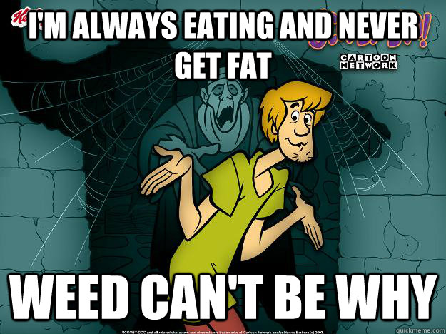 I'm always eating and never get fat Weed can't be why  Irrational Shaggy