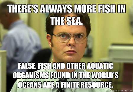 There's always more fish in the sea. False. Fish and other aquatic organisms found in the world's oceans are a finite resource.  Dwight