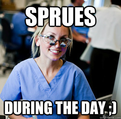 SPRUES DURING THE DAY ;)  overworked dental student