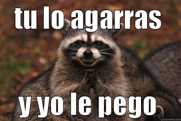  TU LO AGARRAS  Y YO LE PEGO Evil Plotting Raccoon