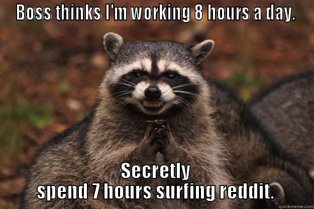 BOSS THINKS I'M WORKING 8 HOURS A DAY. SECRETLY SPEND 7 HOURS SURFING REDDIT. Evil Plotting Raccoon