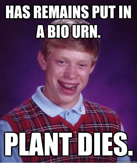 has remains put in a bio urn. plant dies.  Bad Luck Brian