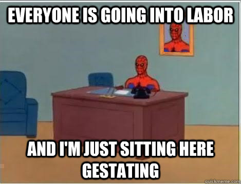 Everyone is going into labor and i'm just sitting here gestating  Spiderman Desk