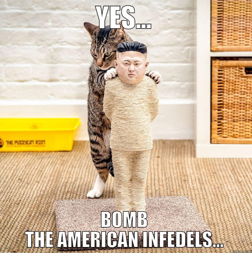 YES... BOMB THE AMERICAN INFEDELS... Misc