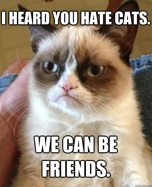 I heard you hate cats. We can be friends.  Grumpy Cat