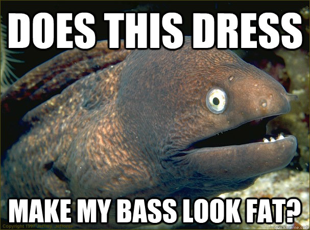 does this dress make my bass look fat?  Bad Joke Eel