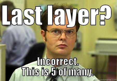 Layer 5 - LAST LAYER?  INCORRECT. THIS IS 5 OF MANY. Schrute