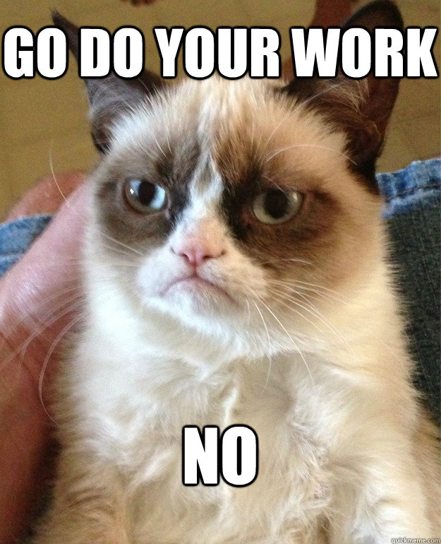 GO DO YOUR WORK NO  Grumpy Cat