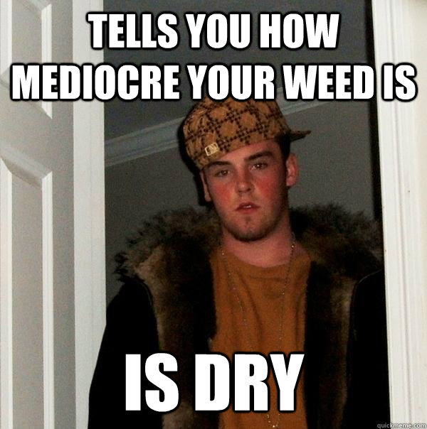 Tells you how mediocre your weed is is dry - Tells you how mediocre your weed is is dry  Scumbag Steve