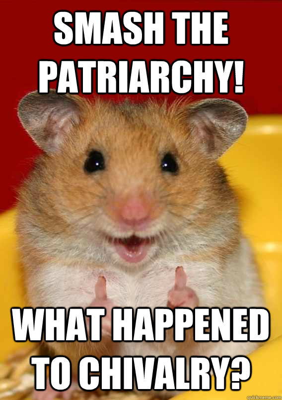 smash the patriarchy! what happened to chivalry?  - smash the patriarchy! what happened to chivalry?   Rationalization Hamster