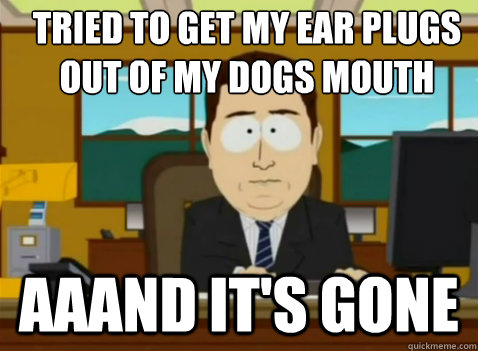 Tried to get my ear plugs out of my dogs mouth aaand it's gone - Tried to get my ear plugs out of my dogs mouth aaand it's gone  South Park Banker