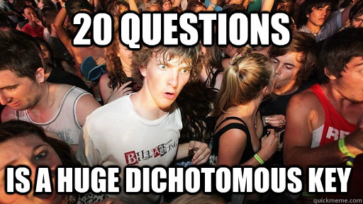 20 questions  is a huge dichotomous key - 20 questions  is a huge dichotomous key  Sudden Clarity Clarence