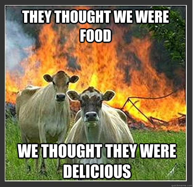 They thought we were food We thought they were delicious  Evil cows