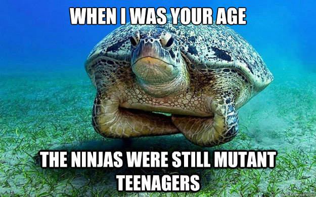 When i was your age The Ninjas were still Mutant Teenagers  