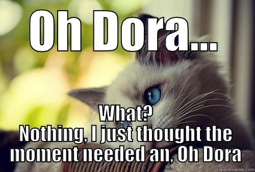 OH DORA... WHAT? NOTHING, I JUST THOUGHT THE MOMENT NEEDED AN, OH DORA First World Problems Cat