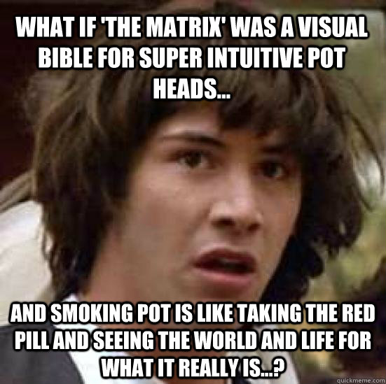 what if 'the matrix' was a visual bible for super intuitive pot heads... and smoking pot is like taking the red pill and seeing the world and life for what it really is...?   conspiracy keanu