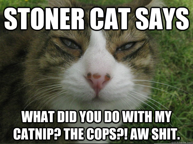 Stoner cat says what did you do with my catnip? THE COPS?! aw shit.  Stoner Cat